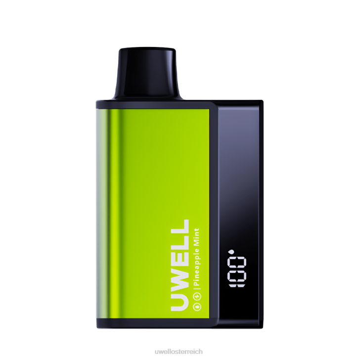UWELL kaufen - UWELL DL8000 Einweg-Vapor Ananas-Minze 60RH284